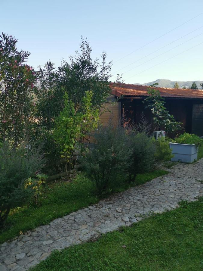 Casa Do Casal Διαμέρισμα Αρούκα Εξωτερικό φωτογραφία